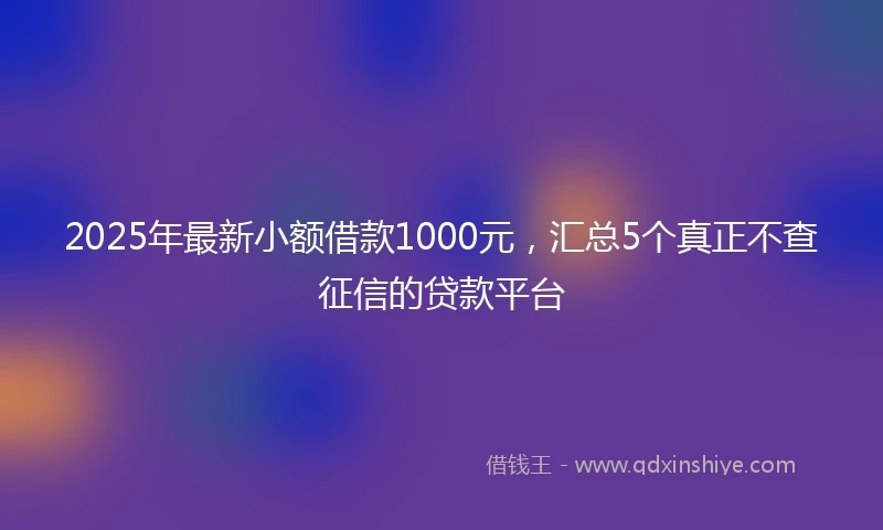 2025年最新小额借款1000元，汇总5个真正不查征信的贷款平台
