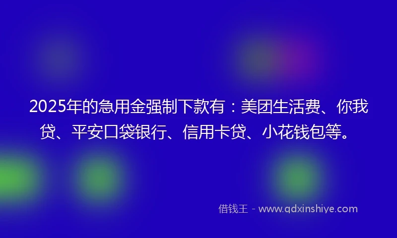 2025年的急用金强制下款有：美团生活费、你我贷、平安口袋银行、信用卡贷、小花钱包等。