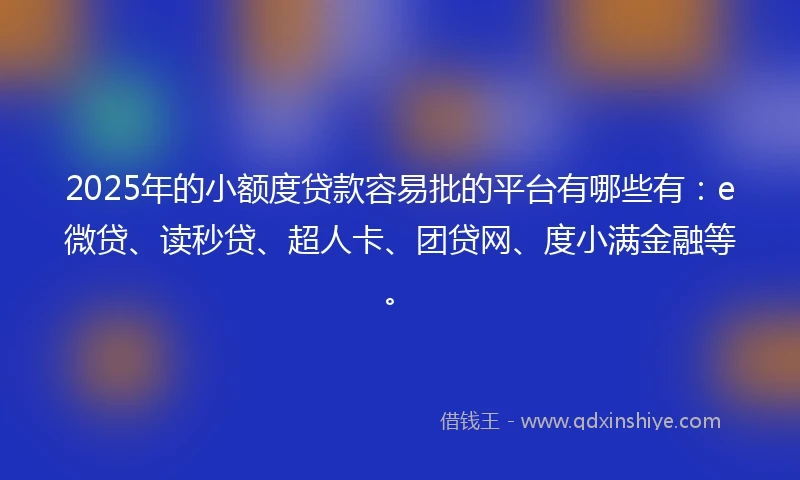 2025年的小额度贷款容易批的平台有哪些有：e微贷、读秒贷、超人卡、团贷网、度小满金融等。