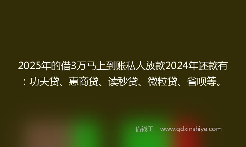 2025年的借3万马上到账私人放款2024年还款有：功夫贷、惠商贷、读秒贷、微粒贷、省呗等。