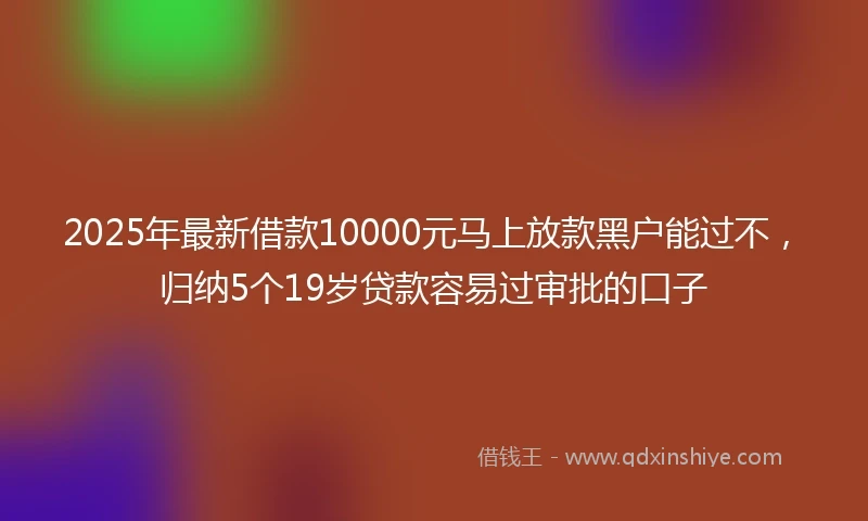 2025年最新借款10000元马上放款黑户能过不，归纳5个19岁贷款容易过审批的口子