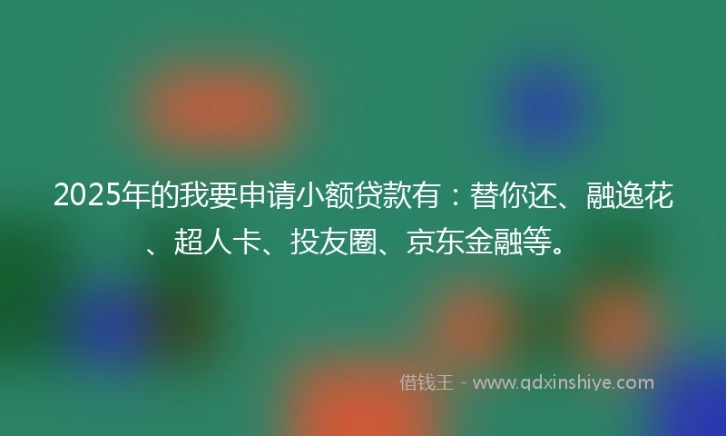 2025年的我要申请小额贷款有：替你还、融逸花、超人卡、投友圈、京东金融等。