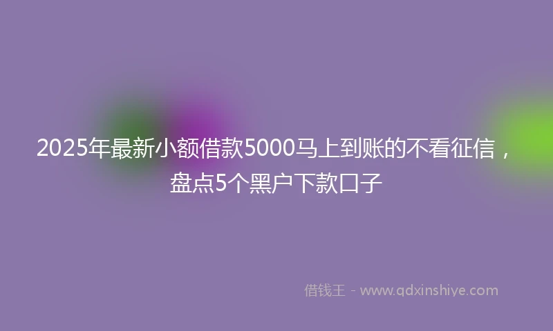 2025年最新小额借款5000马上到账的不看征信，盘点5个黑户下款口子