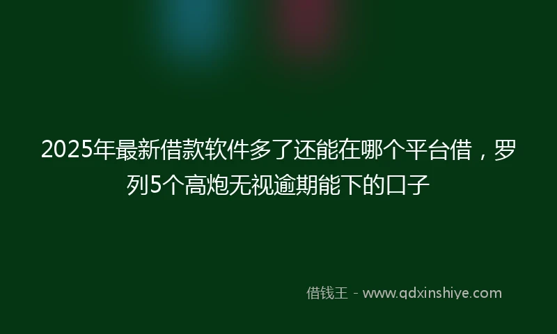 2025年最新借款软件多了还能在哪个平台借，罗列5个高炮无视逾期能下的口子