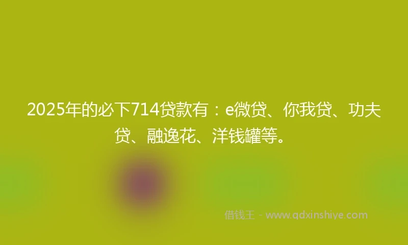 2025年的必下714贷款有：e微贷、你我贷、功夫贷、融逸花、洋钱罐等。