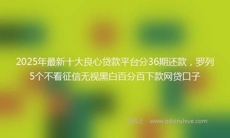 2025年最新十大良心贷款平台分36期还款，罗列5个不看征信无视黑白百分百下款网贷口子