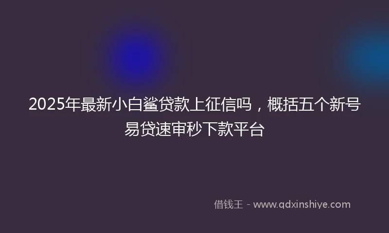 2025年最新小白鲨贷款上征信吗，概括五个新号易贷速审秒下款平台