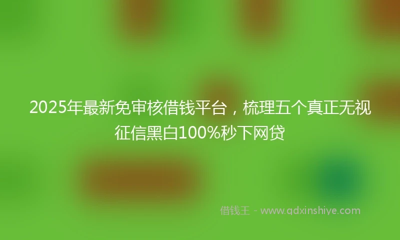 2025年最新免审核借钱平台，梳理五个真正无视征信黑白100%秒下网贷