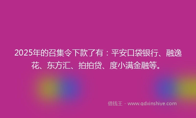 2025年的召集令下款了有：平安口袋银行、融逸花、东方汇、拍拍贷、度小满金融等。