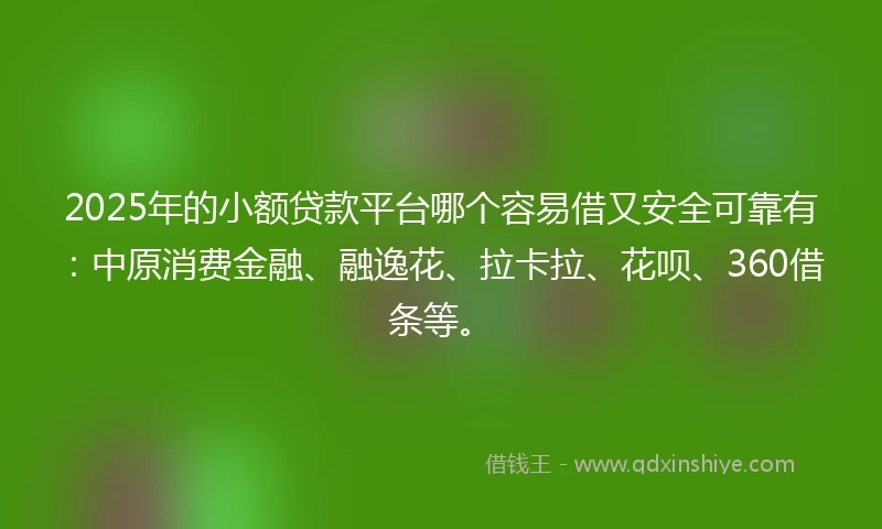 2025年的小额贷款平台哪个容易借又安全可靠有：中原消费金融、融逸花、拉卡拉、花呗、360借条等。