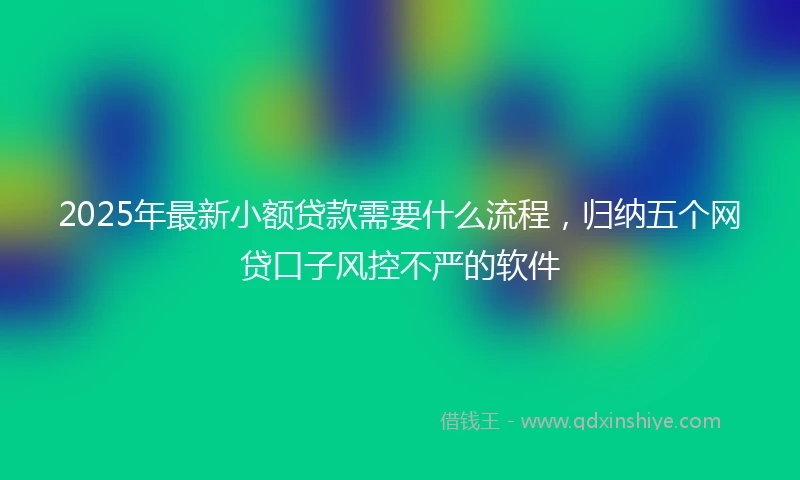 2025年最新小额贷款需要什么流程，归纳五个网贷口子风控不严的软件