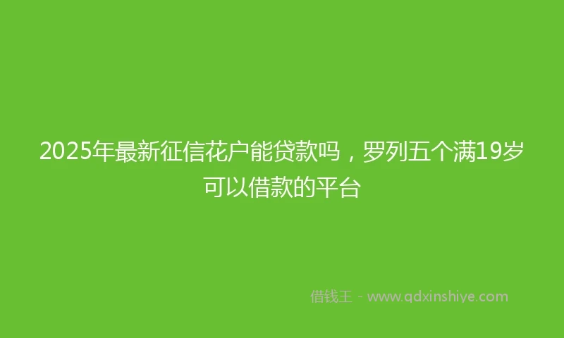 2025年最新征信花户能贷款吗，罗列五个满19岁可以借款的平台
