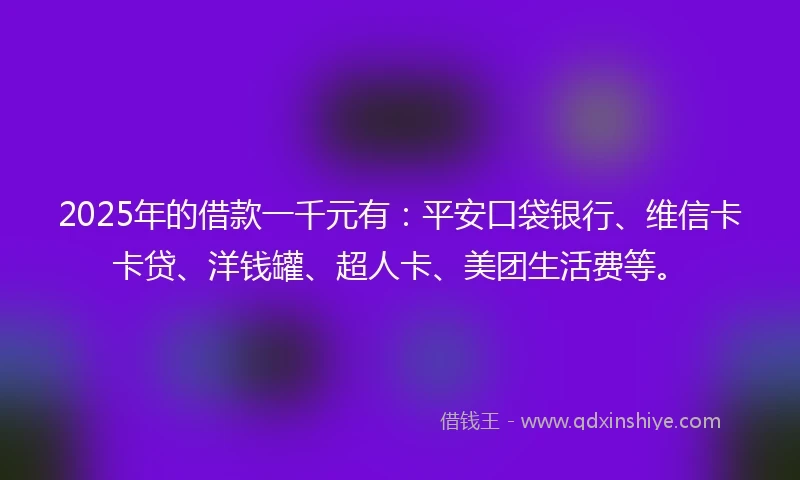 2025年的借款一千元有：平安口袋银行、维信卡卡贷、洋钱罐、超人卡、美团生活费等。