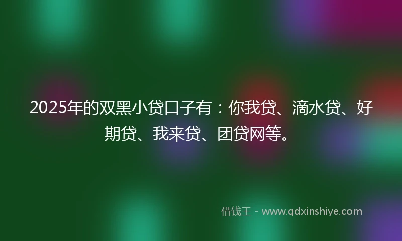 2025年的双黑小贷口子有：你我贷、滴水贷、好期贷、我来贷、团贷网等。
