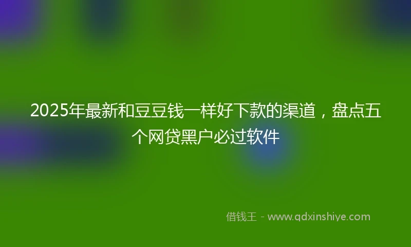 2025年最新和豆豆钱一样好下款的渠道，盘点五个网贷黑户必过软件