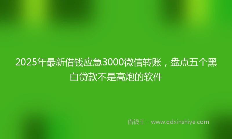2025年最新借钱应急3000微信转账，盘点五个黑白贷款不是高炮的软件