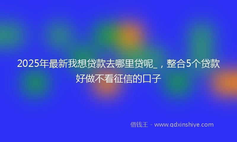 2025年最新我想贷款去哪里贷呢_，整合5个贷款好做不看征信的口子