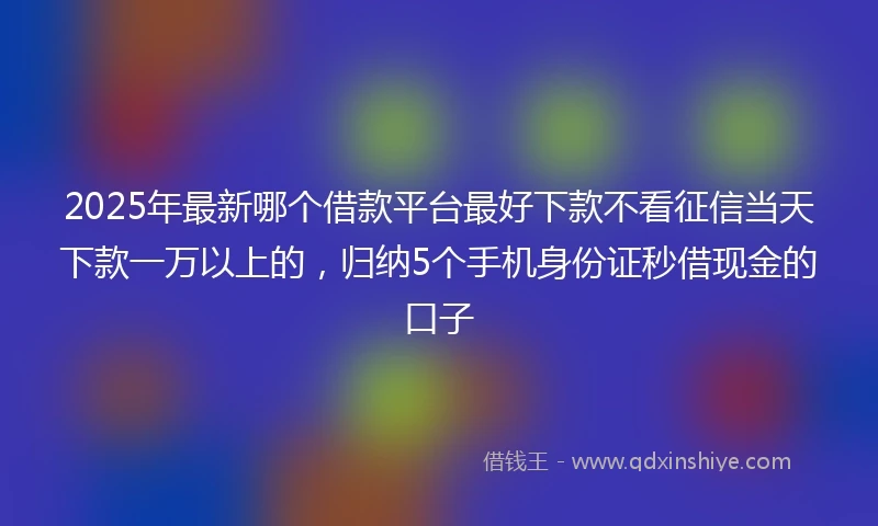 2025年最新哪个借款平台最好下款不看征信当天下款一万以上的，归纳5个手机身份证秒借现金的口子