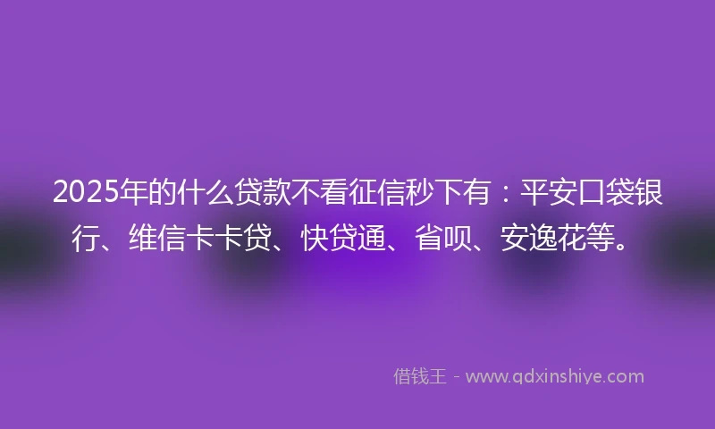 2025年的什么贷款不看征信秒下有：平安口袋银行、维信卡卡贷、快贷通、省呗、安逸花等。