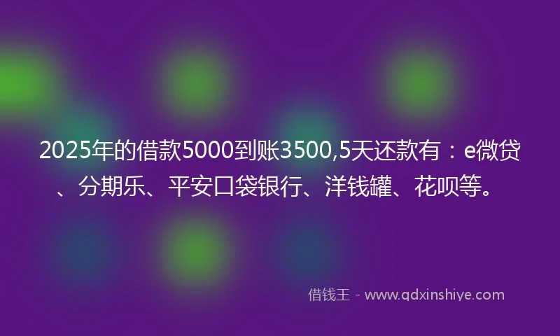 2025年的借款5000到账3500,5天还款有：e微贷、分期乐、平安口袋银行、洋钱罐、花呗等。