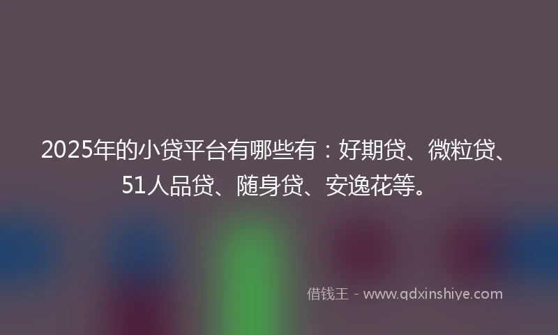 2025年的小贷平台有哪些有：好期贷、微粒贷、51人品贷、随身贷、安逸花等。