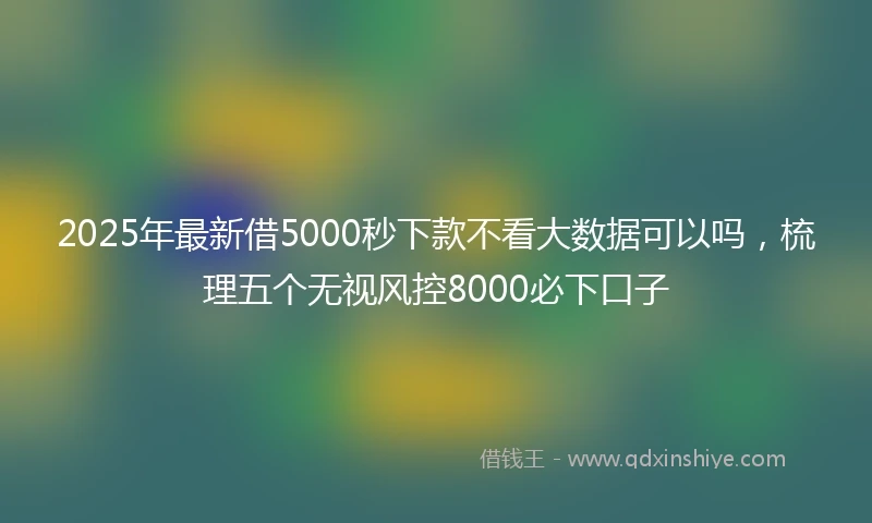 2025年最新借5000秒下款不看大数据可以吗，梳理五个无视风控8000必下口子