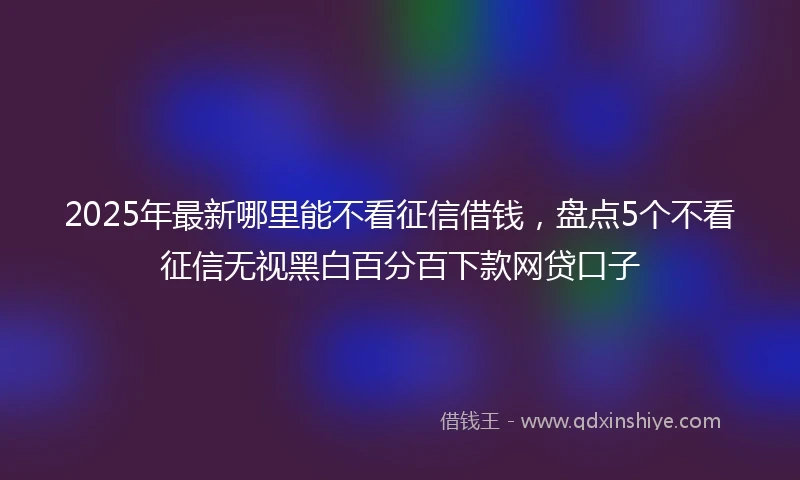 2025年最新哪里能不看征信借钱，盘点5个不看征信无视黑白百分百下款网贷口子