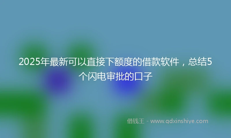2025年最新可以直接下额度的借款软件，总结5个闪电审批的口子