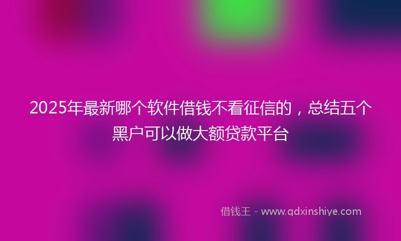 2025年最新哪个软件借钱不看征信的，总结五个黑户可以做大额贷款平台