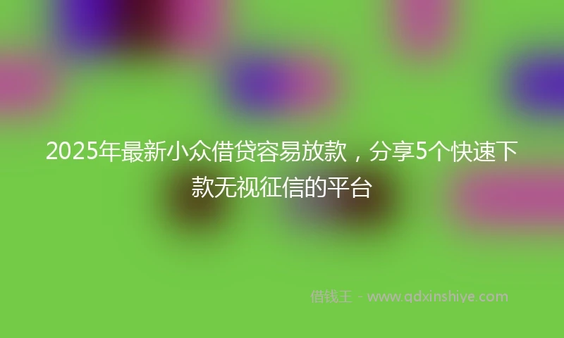 2025年最新小众借贷容易放款，分享5个快速下款无视征信的平台