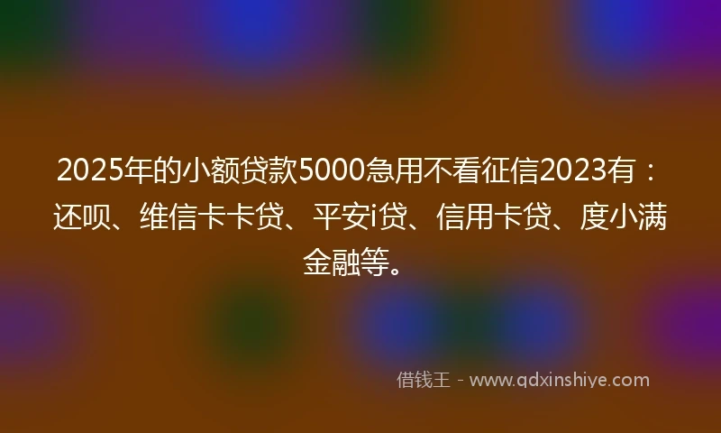 2025年的小额贷款5000急用不看征信2023有：还呗、维信卡卡贷、平安i贷、信用卡贷、度小满金融等。