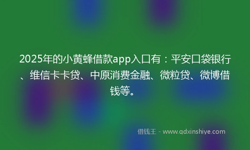 2025年的小黄蜂借款app入口有：平安口袋银行、维信卡卡贷、中原消费金融、微粒贷、微博借钱等。