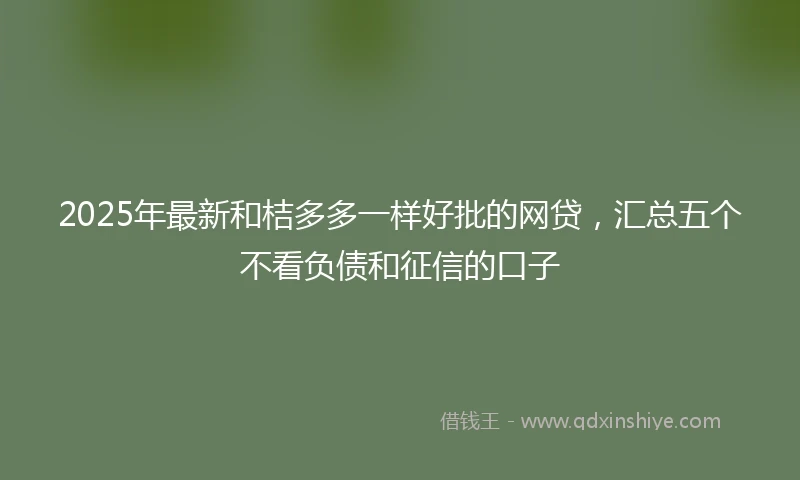2025年最新和桔多多一样好批的网贷，汇总五个不看负债和征信的口子