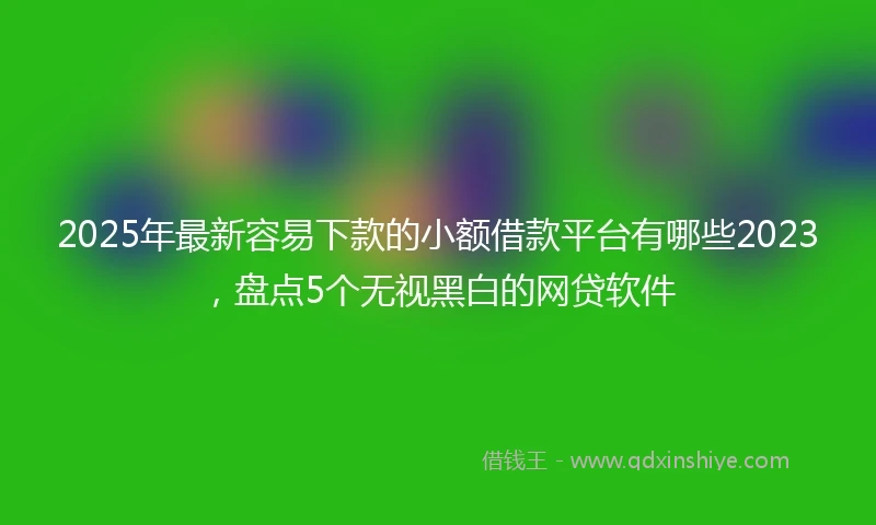 2025年最新容易下款的小额借款平台有哪些2023，盘点5个无视黑白的网贷软件