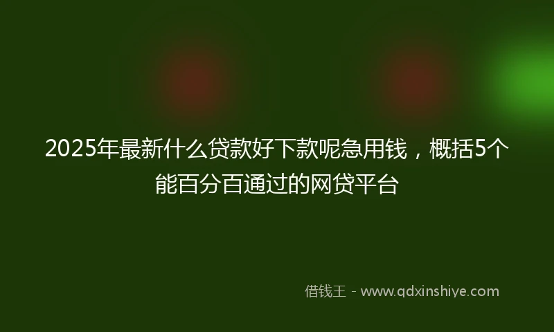 2025年最新什么贷款好下款呢急用钱，概括5个能百分百通过的网贷平台