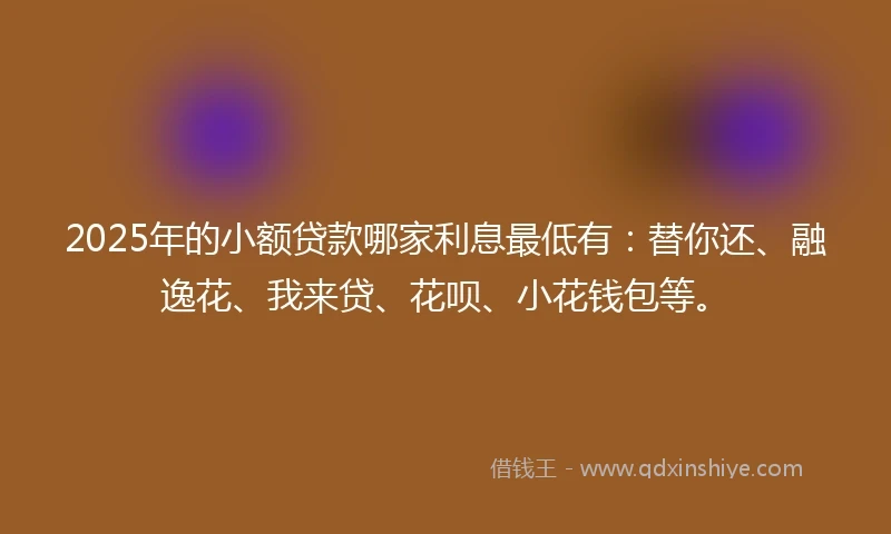 2025年的小额贷款哪家利息最低有：替你还、融逸花、我来贷、花呗、小花钱包等。