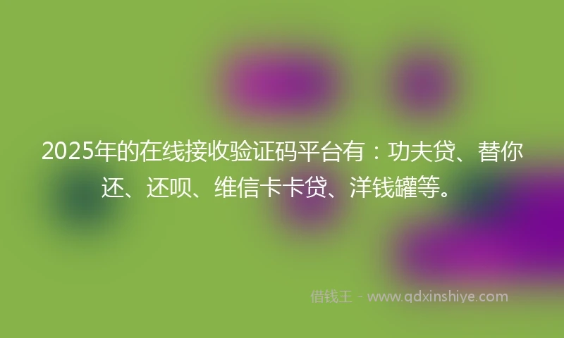 2025年的在线接收验证码平台有：功夫贷、替你还、还呗、维信卡卡贷、洋钱罐等。
