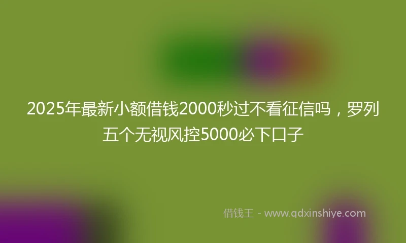 2025年最新小额借钱2000秒过不看征信吗，罗列五个无视风控5000必下口子