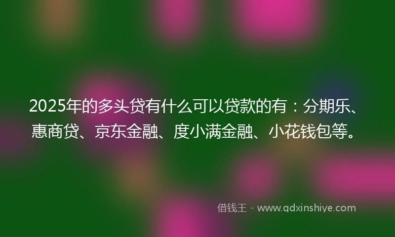 2025年的多头贷有什么可以贷款的有：分期乐、惠商贷、京东金融、度小满金融、小花钱包等。