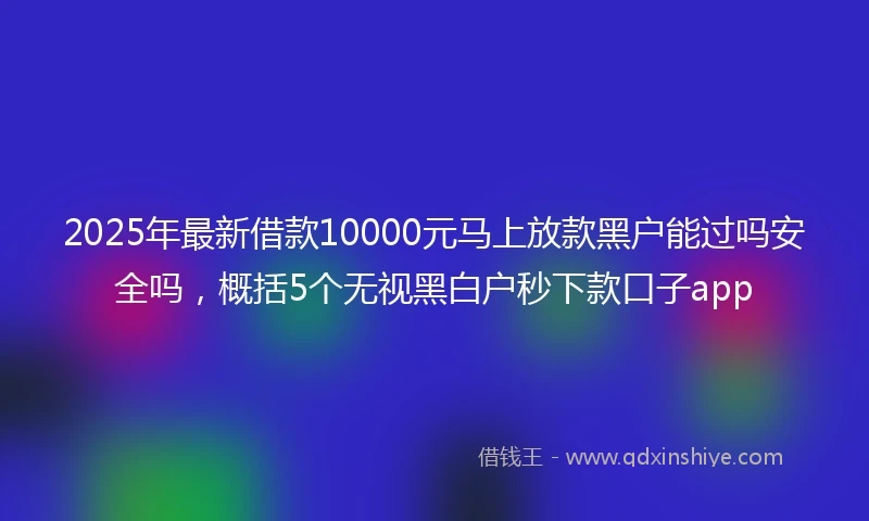 2025年最新借款10000元马上放款黑户能过吗安全吗，概括5个无视黑白户秒下款口子app
