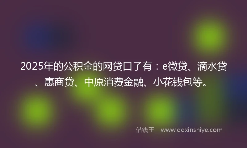 2025年的公积金的网贷口子有：e微贷、滴水贷、惠商贷、中原消费金融、小花钱包等。