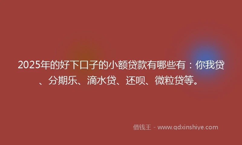 2025年的好下口子的小额贷款有哪些有：你我贷、分期乐、滴水贷、还呗、微粒贷等。