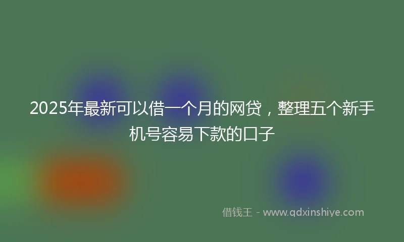 2025年最新可以借一个月的网贷，整理五个新手机号容易下款的口子