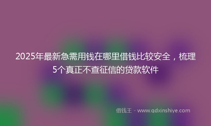 2025年最新急需用钱在哪里借钱比较安全，梳理5个真正不查征信的贷款软件