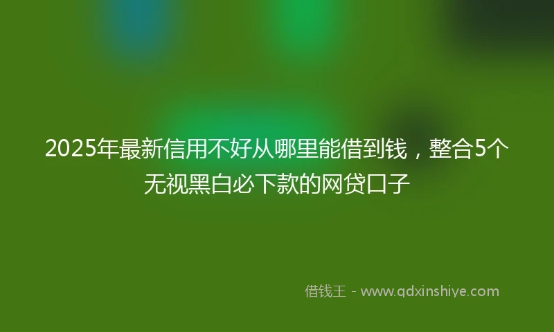 2025年最新信用不好从哪里能借到钱，整合5个无视黑白必下款的网贷口子