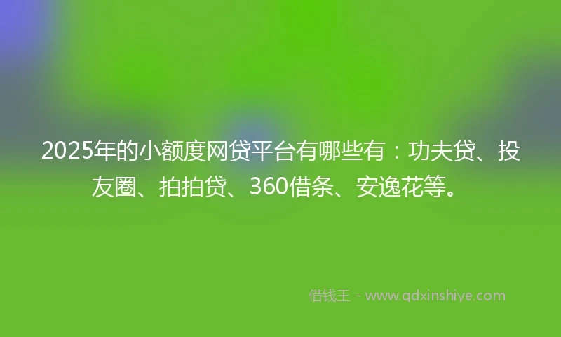 2025年的小额度网贷平台有哪些有：功夫贷、投友圈、拍拍贷、360借条、安逸花等。