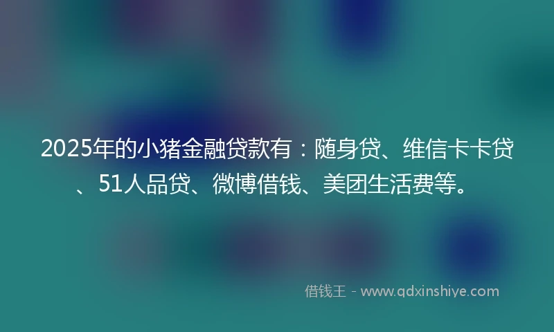 2025年的小猪金融贷款有：随身贷、维信卡卡贷、51人品贷、微博借钱、美团生活费等。