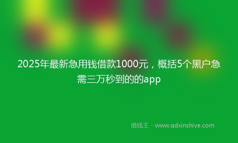 2025年最新急用钱借款1000元，概括5个黑户急需三万秒到的的app