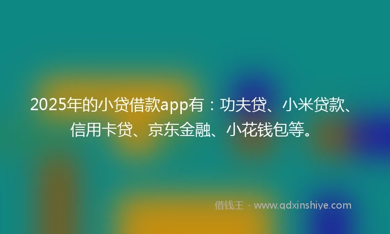 2025年的小贷借款app有：功夫贷、小米贷款、信用卡贷、京东金融、小花钱包等。
