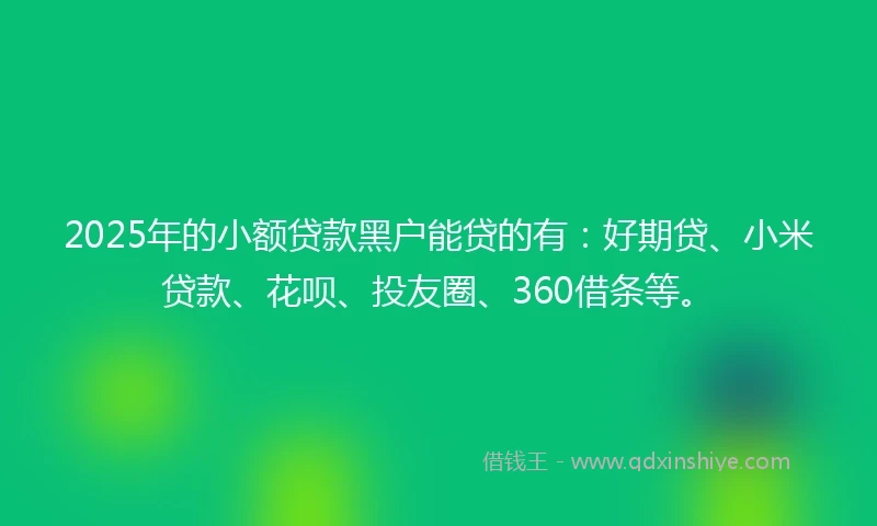 2025年的小额贷款黑户能贷的有：好期贷、小米贷款、花呗、投友圈、360借条等。